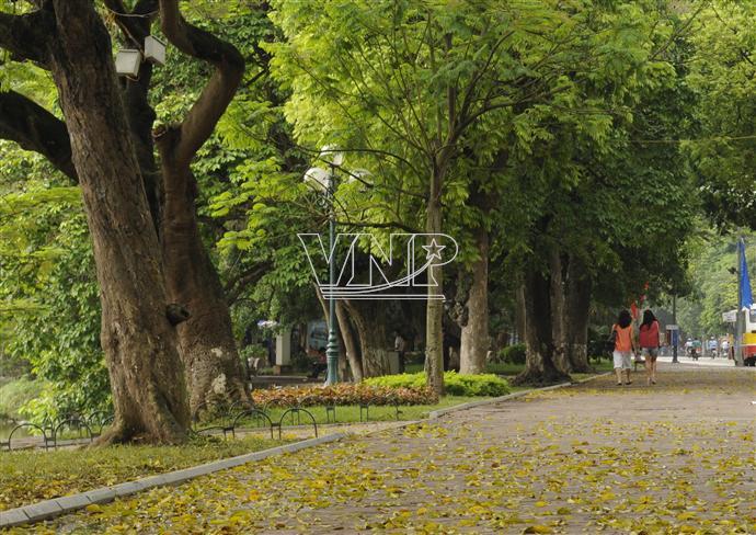 ទួរទេសចរណ៍កម្សានទីក្រុងហាណូយនិងបណ្តាដំបន់ជនបទ។